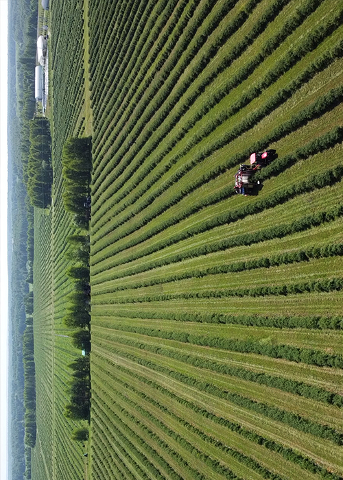 slide_img